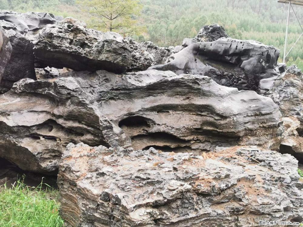 风景石、假山石大量有货，有需要的欢迎联系 - 新手上路 - 丹东生活社区 - 丹东28生活网 dandong.28life.net