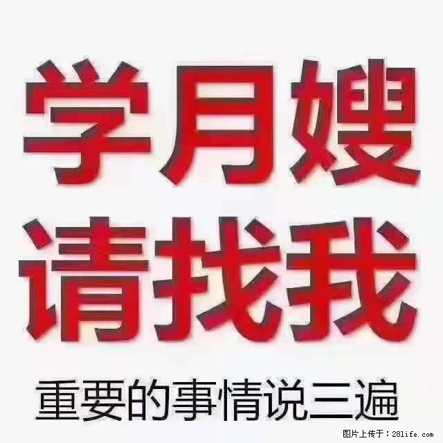 为什么要学习月嫂，育婴师？ - 其他广告 - 广告专区 - 丹东分类信息 - 丹东28生活网 dandong.28life.net