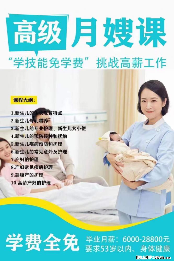 为什么要学习月嫂，育婴师？ - 其他广告 - 广告专区 - 丹东分类信息 - 丹东28生活网 dandong.28life.net