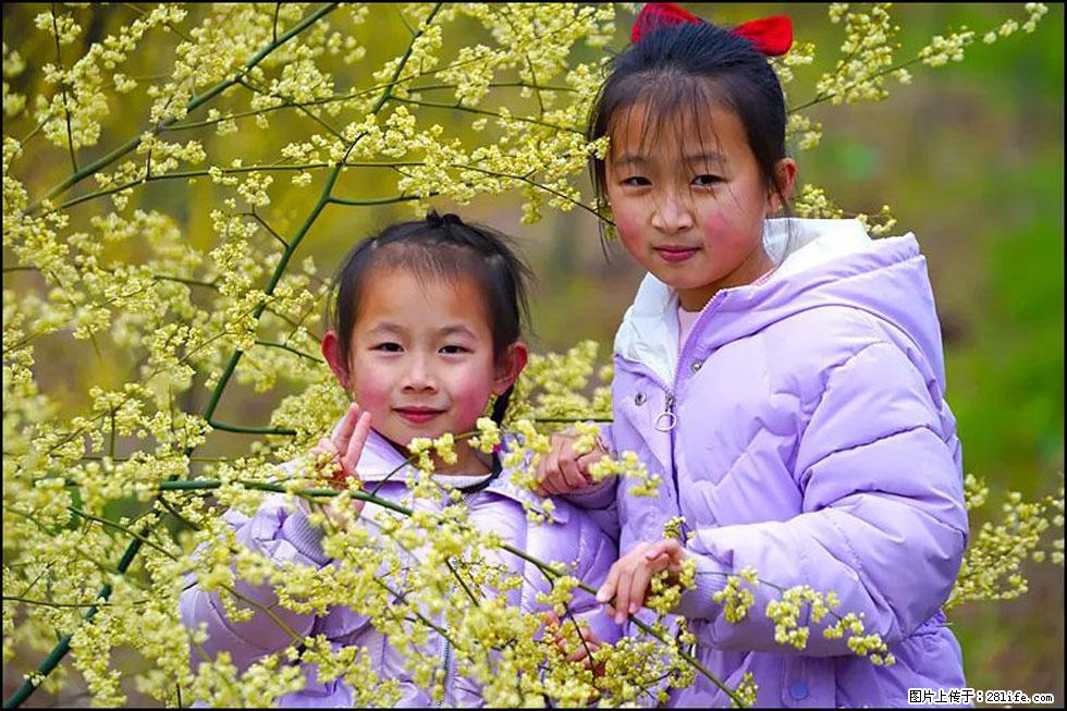 【春天,广西桂林灌阳县向您发出邀请!】米珠山前有片山苍子花在飘香 - 游山玩水 - 丹东生活社区 - 丹东28生活网 dandong.28life.net