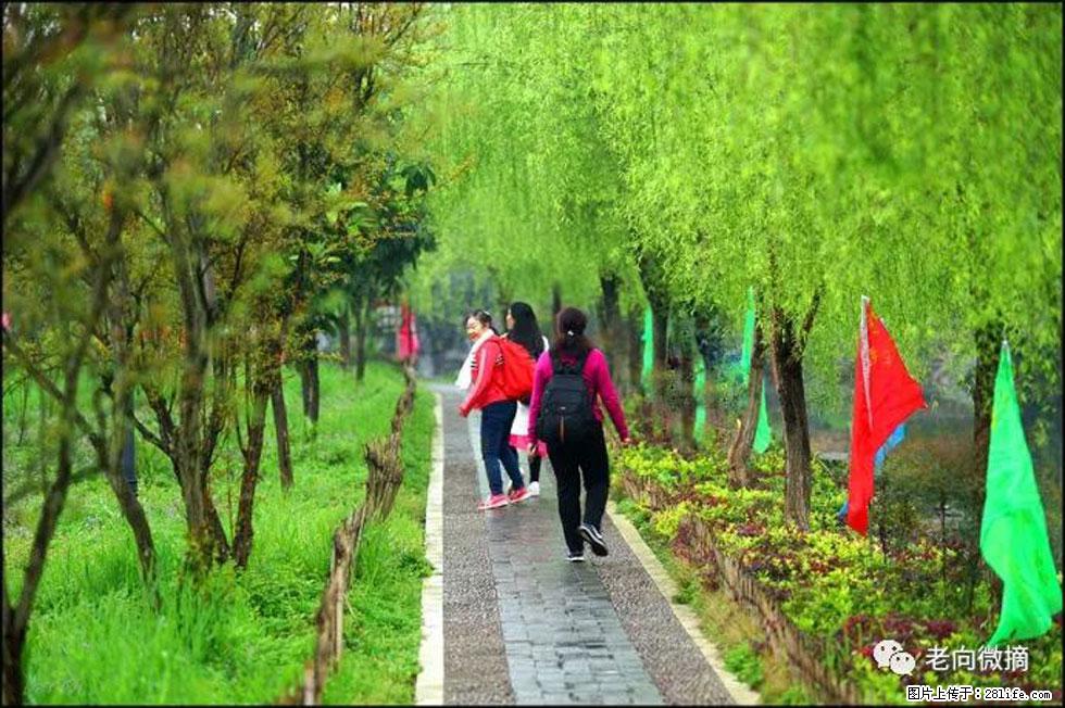 【春天，广西桂林灌阳县向您发出邀请！】江口老街又逢春 - 游山玩水 - 丹东生活社区 - 丹东28生活网 dandong.28life.net
