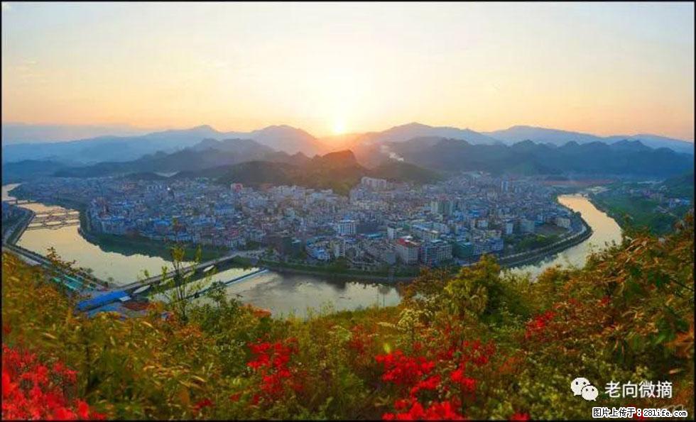 【春天，广西桂林灌阳县向您发出邀请！】登麒麟山，相约映山红 - 游山玩水 - 丹东生活社区 - 丹东28生活网 dandong.28life.net