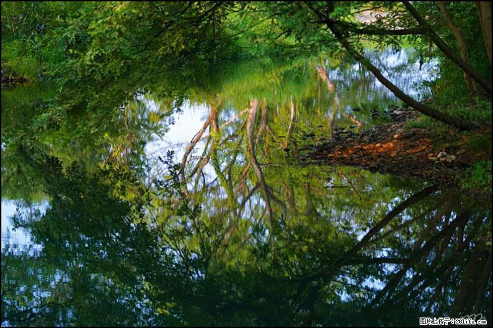 【春天，广西桂林灌阳县向您发出邀请！】熊家寨湿地公园 - 游山玩水 - 丹东生活社区 - 丹东28生活网 dandong.28life.net