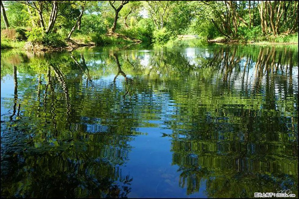 【春天，广西桂林灌阳县向您发出邀请！】熊家寨湿地公园 - 游山玩水 - 丹东生活社区 - 丹东28生活网 dandong.28life.net