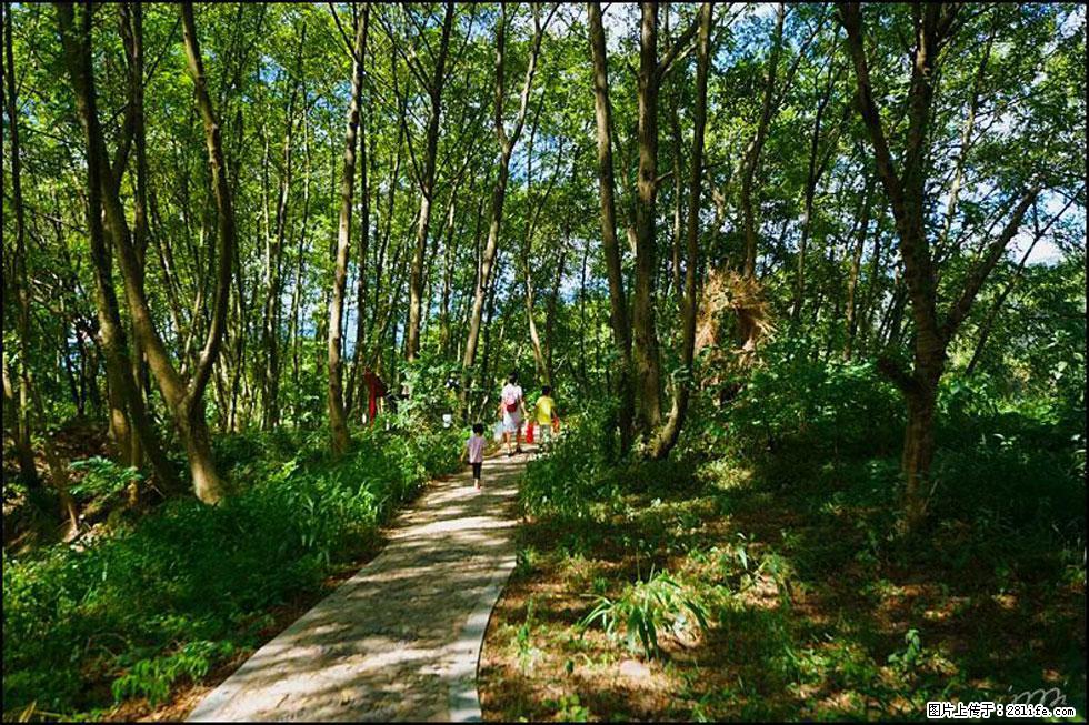 【春天，广西桂林灌阳县向您发出邀请！】熊家寨湿地公园 - 游山玩水 - 丹东生活社区 - 丹东28生活网 dandong.28life.net