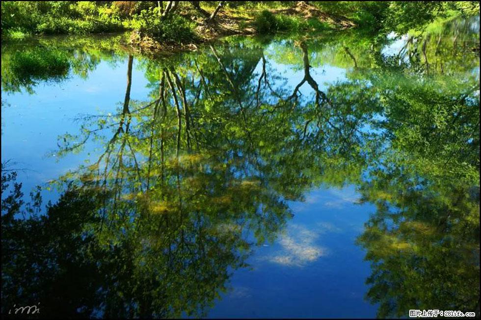 【春天，广西桂林灌阳县向您发出邀请！】熊家寨湿地公园 - 游山玩水 - 丹东生活社区 - 丹东28生活网 dandong.28life.net
