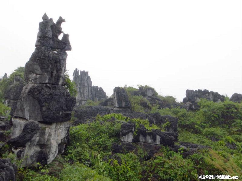 桂林旅游名城景点：灌阳文市石林 - 游山玩水 - 丹东生活社区 - 丹东28生活网 dandong.28life.net