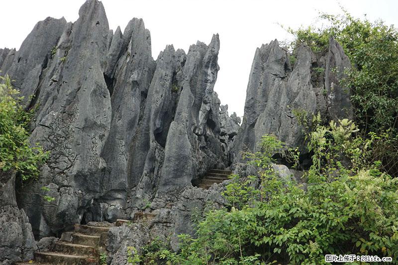 桂林旅游名城景点：灌阳文市石林 - 游山玩水 - 丹东生活社区 - 丹东28生活网 dandong.28life.net