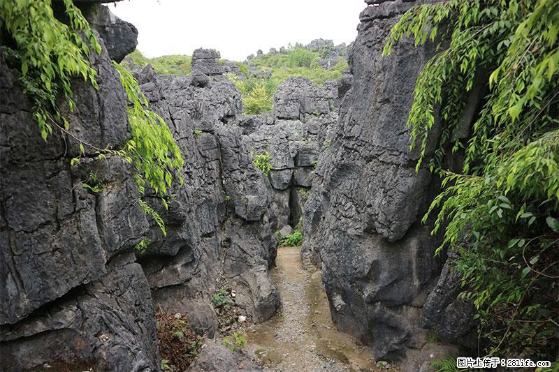 桂林旅游名城景点：灌阳文市石林 - 游山玩水 - 丹东生活社区 - 丹东28生活网 dandong.28life.net