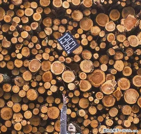 辞掉工作周游世界？现在他们在洗厕所…… - 游山玩水 - 丹东生活社区 - 丹东28生活网 dandong.28life.net