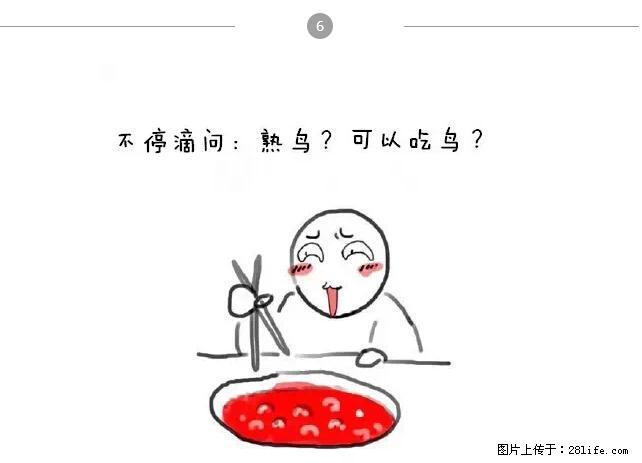 千万不要和这9种哈卵一起吃火锅！ - 美食天地 - 丹东生活社区 - 丹东28生活网 dandong.28life.net