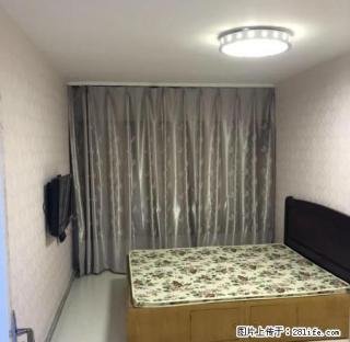 六纬路小学附近 全新装修 头次出租 - 丹东28生活网 dandong.28life.net