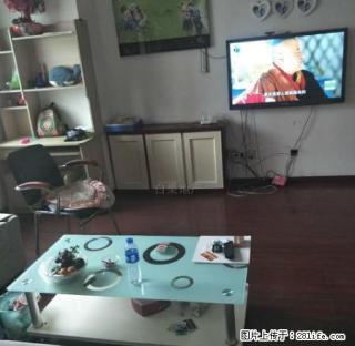 绿云花园精装 100平 1000 赠送10个月宽带 随时入户 - 丹东28生活网 dandong.28life.net