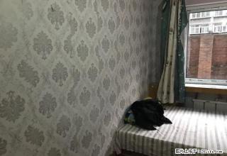 (单间出租)城隍庙小区不上破 一楼单间出租 月租550可短租 - 丹东28生活网 dandong.28life.net