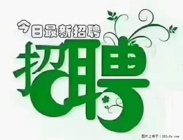 【招聘摄像师】待遇：试用期6000元/月，转正7000元/月+五险一金+餐补+节日福利+奖金 - 职场交流 - 丹东生活社区 - 丹东28生活网 dandong.28life.net