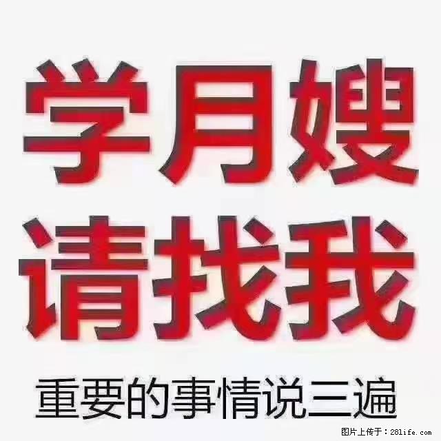 【招聘】月嫂，上海徐汇区 - 职场交流 - 丹东生活社区 - 丹东28生活网 dandong.28life.net
