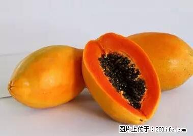 晕车、脚气、牙齿变黄、皮肤粗糙？学会这些三分钟搞定！ - 丹东生活资讯 - 丹东28生活网 dandong.28life.net