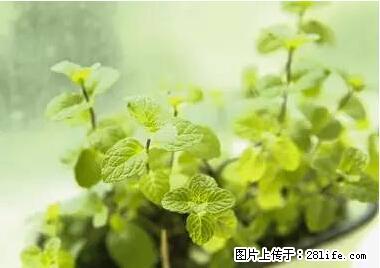 晕车、脚气、牙齿变黄、皮肤粗糙？学会这些三分钟搞定！ - 丹东生活资讯 - 丹东28生活网 dandong.28life.net