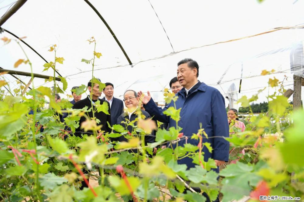 习近平赴广西考察调研 - 丹东生活资讯 - 丹东28生活网 dandong.28life.net