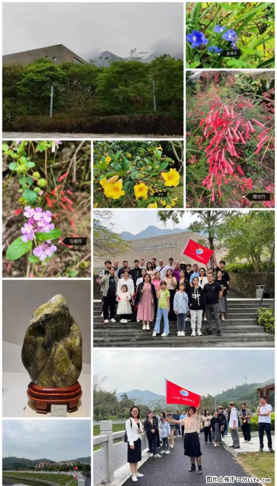 “粤灌文化 美好生活”油茶文化主题活动在广东深圳成功举办 - 丹东生活资讯 - 丹东28生活网 dandong.28life.net