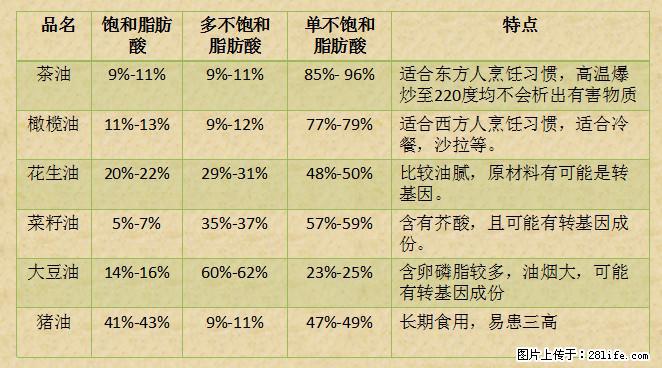 揭秘茶油的5大核心营养成分！被称为人体健康的“守护盾”！ - 丹东生活资讯 - 丹东28生活网 dandong.28life.net