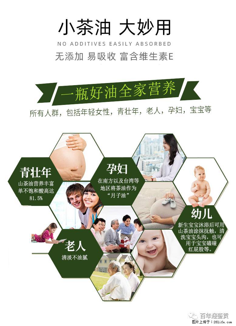 世界没有真相，只有认知，最好的食用油是中国的山茶油！ - 丹东生活资讯 - 丹东28生活网 dandong.28life.net