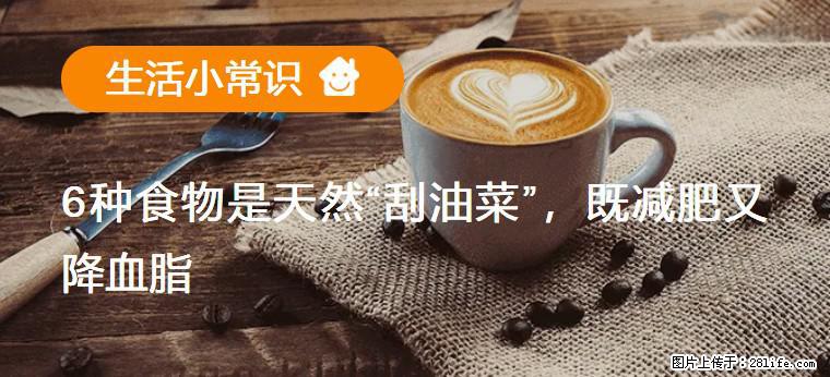 【生活小常识】6种食物是天然“刮油菜”，既减肥又降血脂 - 丹东生活资讯 - 丹东28生活网 dandong.28life.net