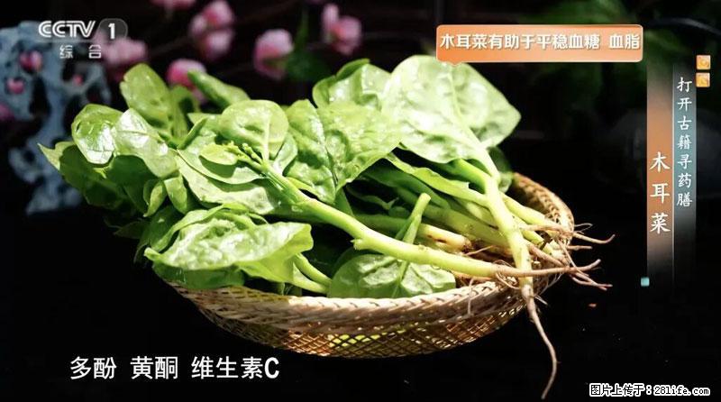 比牛奶补钙还厉害！凉血解毒、稳血糖...这菜冬天必吃，很多人却当草 - 丹东生活资讯 - 丹东28生活网 dandong.28life.net