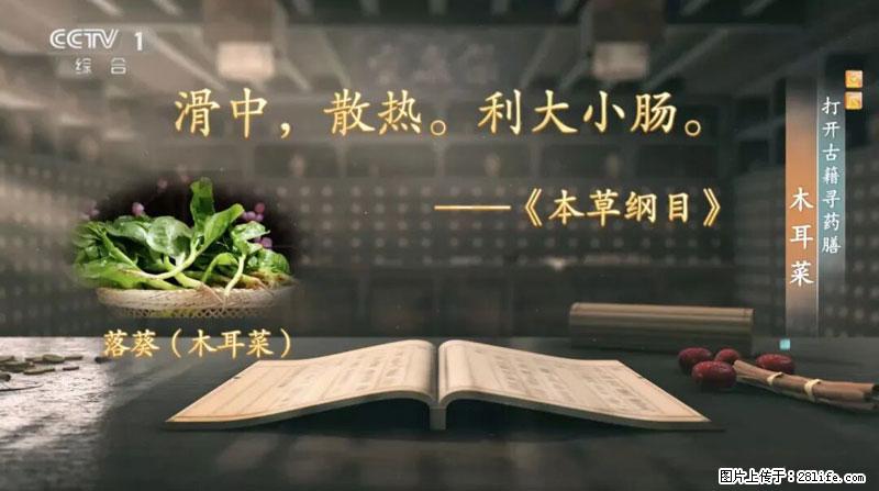 比牛奶补钙还厉害！凉血解毒、稳血糖...这菜冬天必吃，很多人却当草 - 丹东生活资讯 - 丹东28生活网 dandong.28life.net
