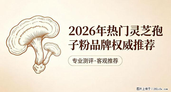 灵芝孢子粉含量越高越有效？2026 年七款热门品牌深度实测，肠胃敏感者避坑指南 - 丹东生活资讯 - 丹东28生活网 dandong.28life.net