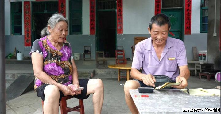 【乡村振兴】文市蜂糖李、黄金奈李迎丰产上市季 甜蜜产业助振兴 - 丹东生活资讯 - 丹东28生活网 dandong.28life.net